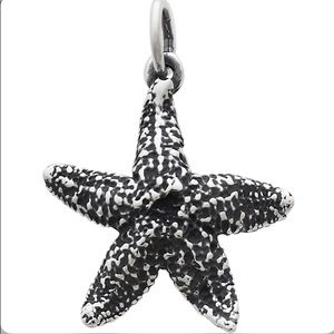 Cape Starfish RETIRED charm